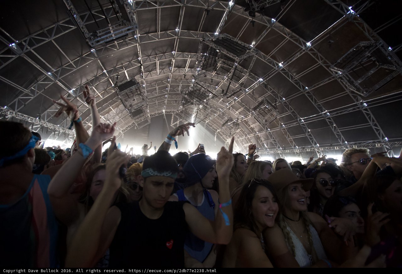 Coachella 2016's Wild Crowd