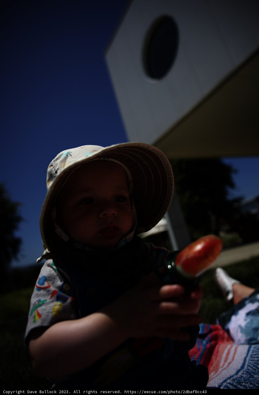 A Baby's Sunny Day Surprise