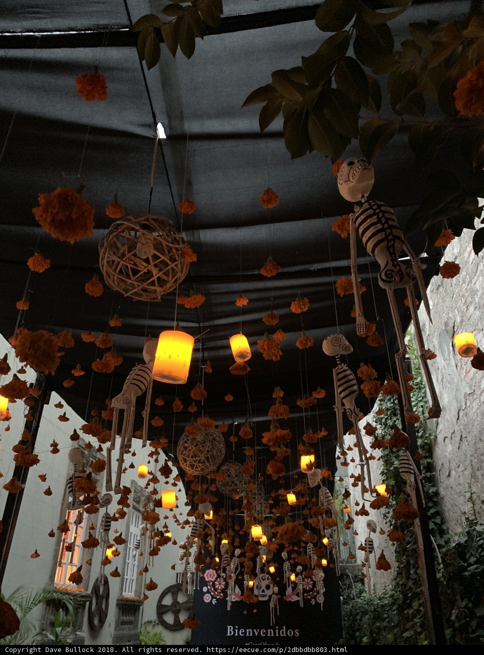 Grim Decor: Skeletons Adorn the Ceiling