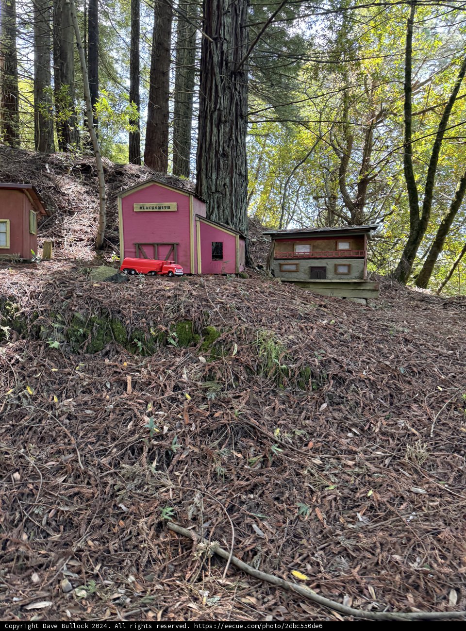 Whimsical Woodland Retreat