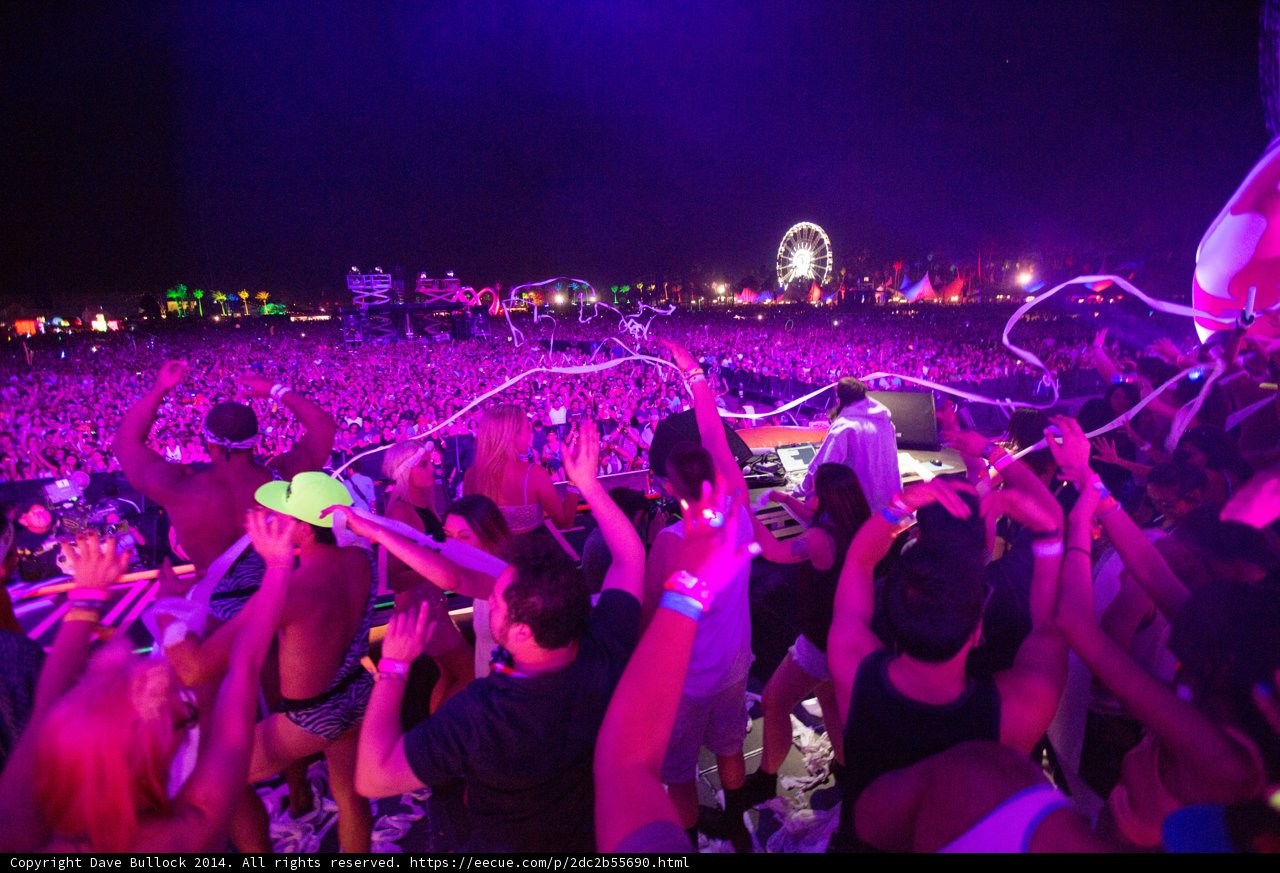 Girl Talk and Crowd