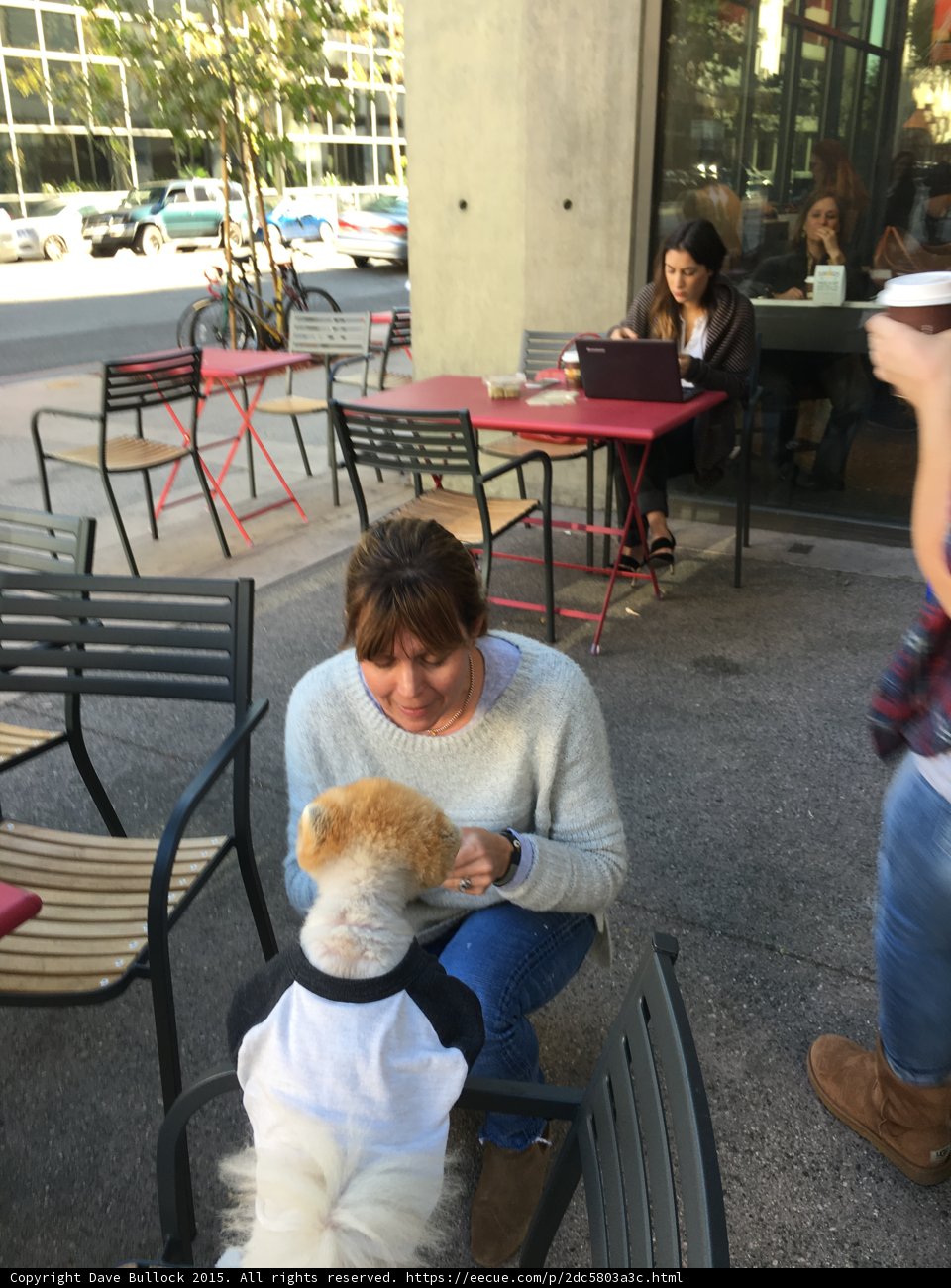 Woman Petting Jiff
