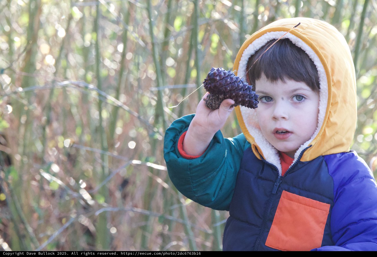 Young Explorer Discovers Pinecone in Winter Forest