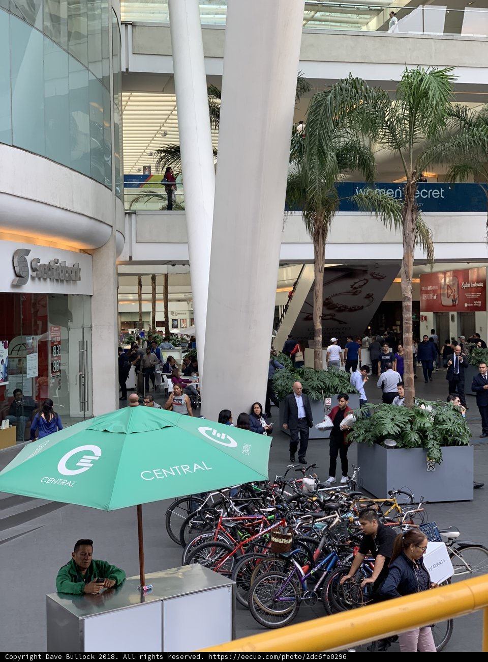 Shopping Under the Summer Canopy