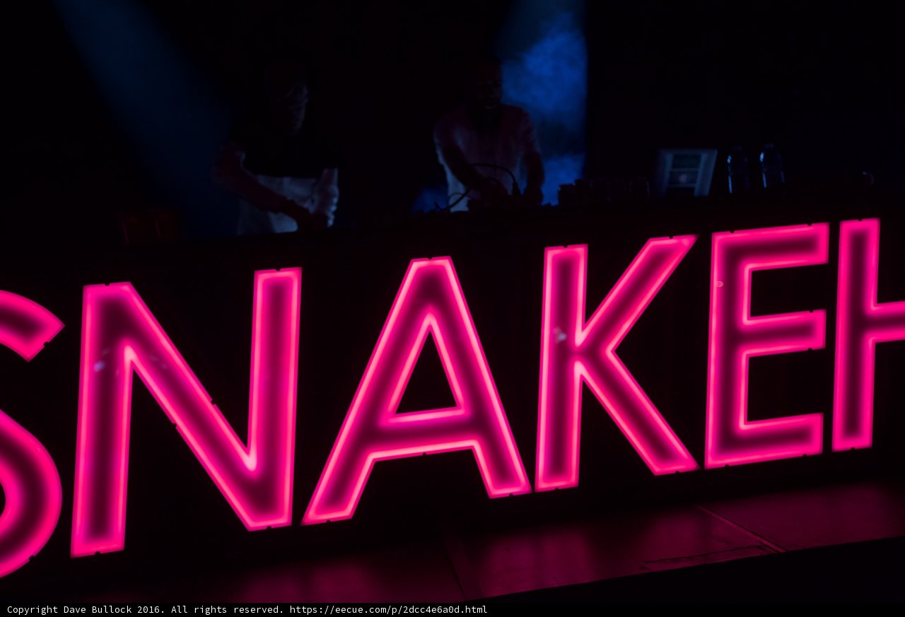 Neon Snake on Stage