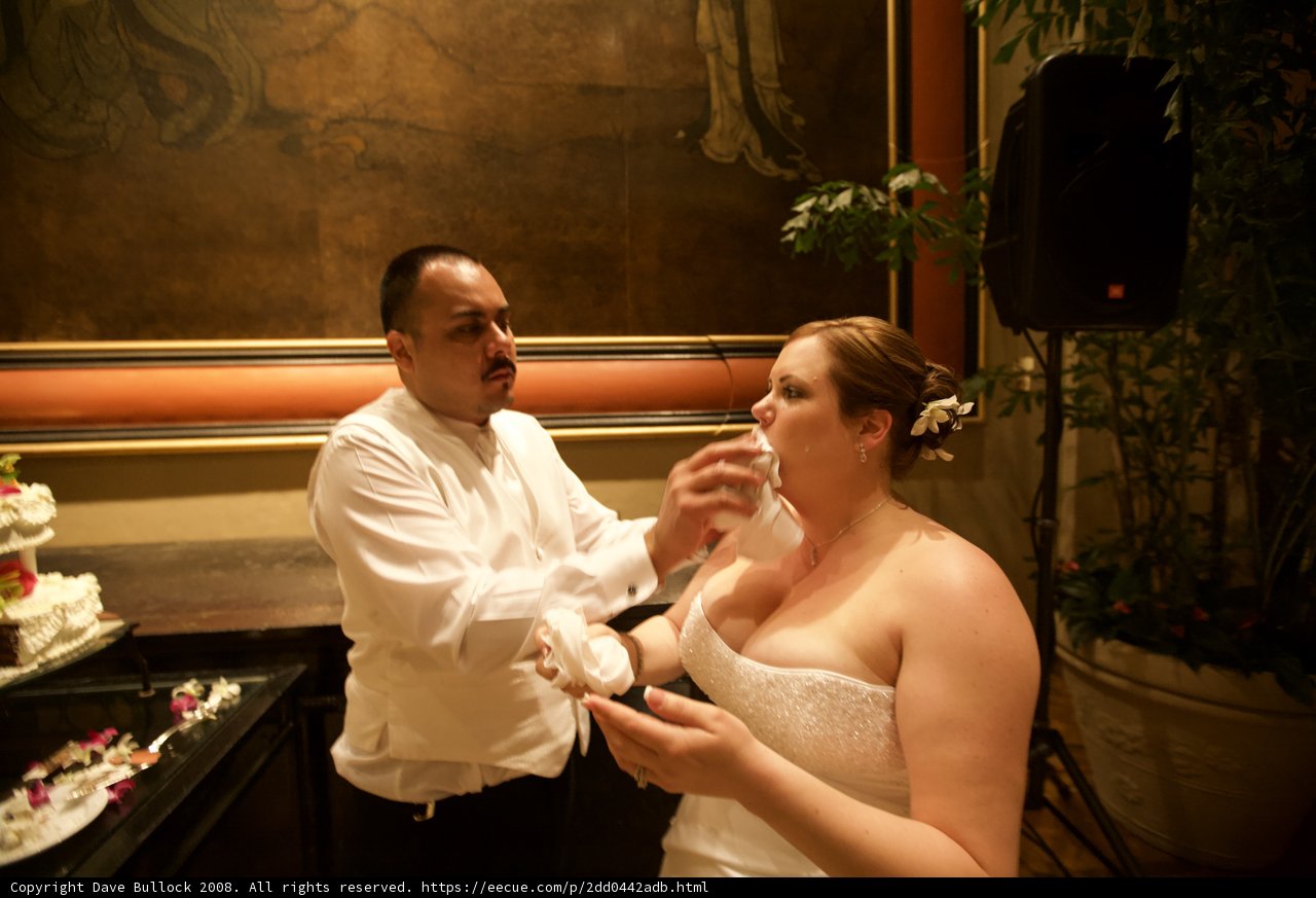 Wedding Cake Feed