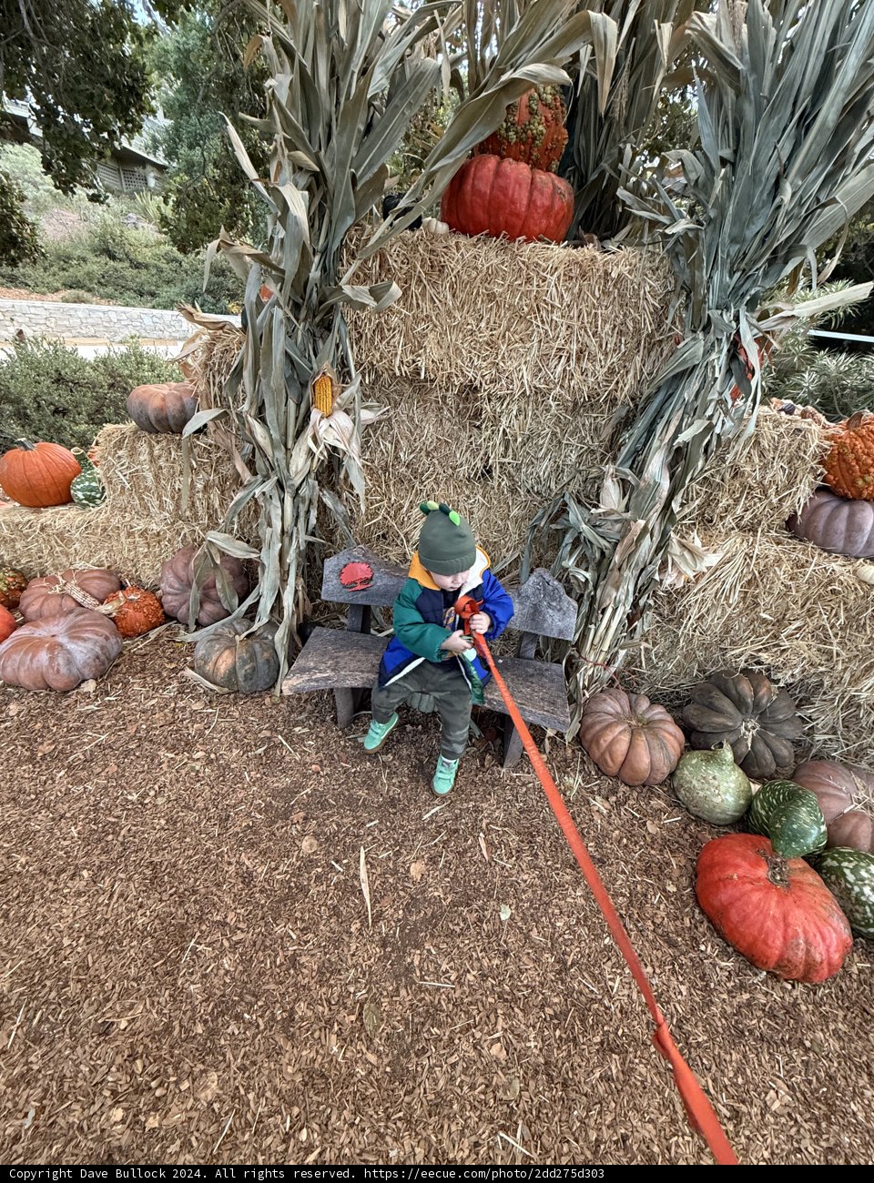 Autumn Whimsy