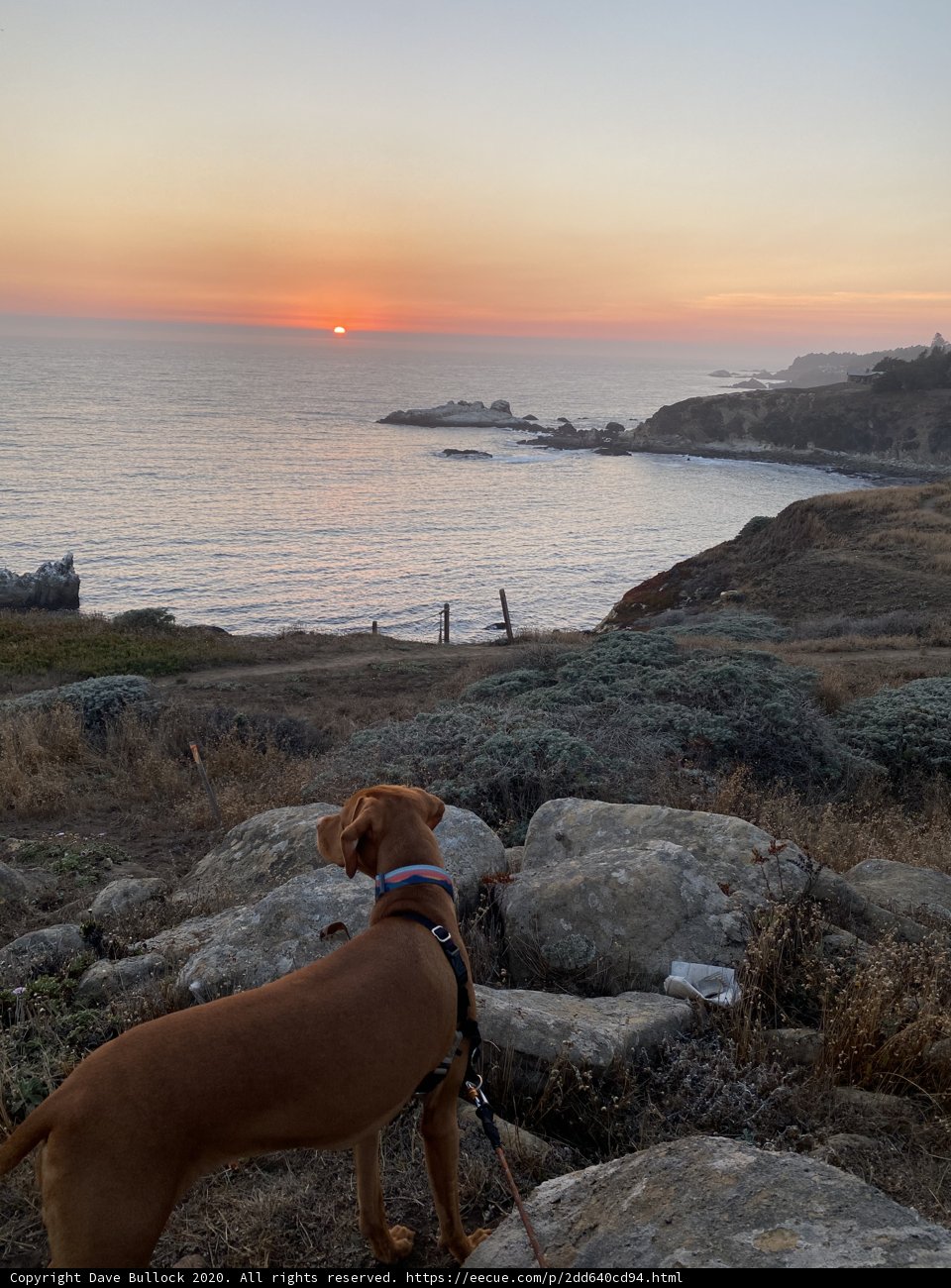 Overlooking the Ocean