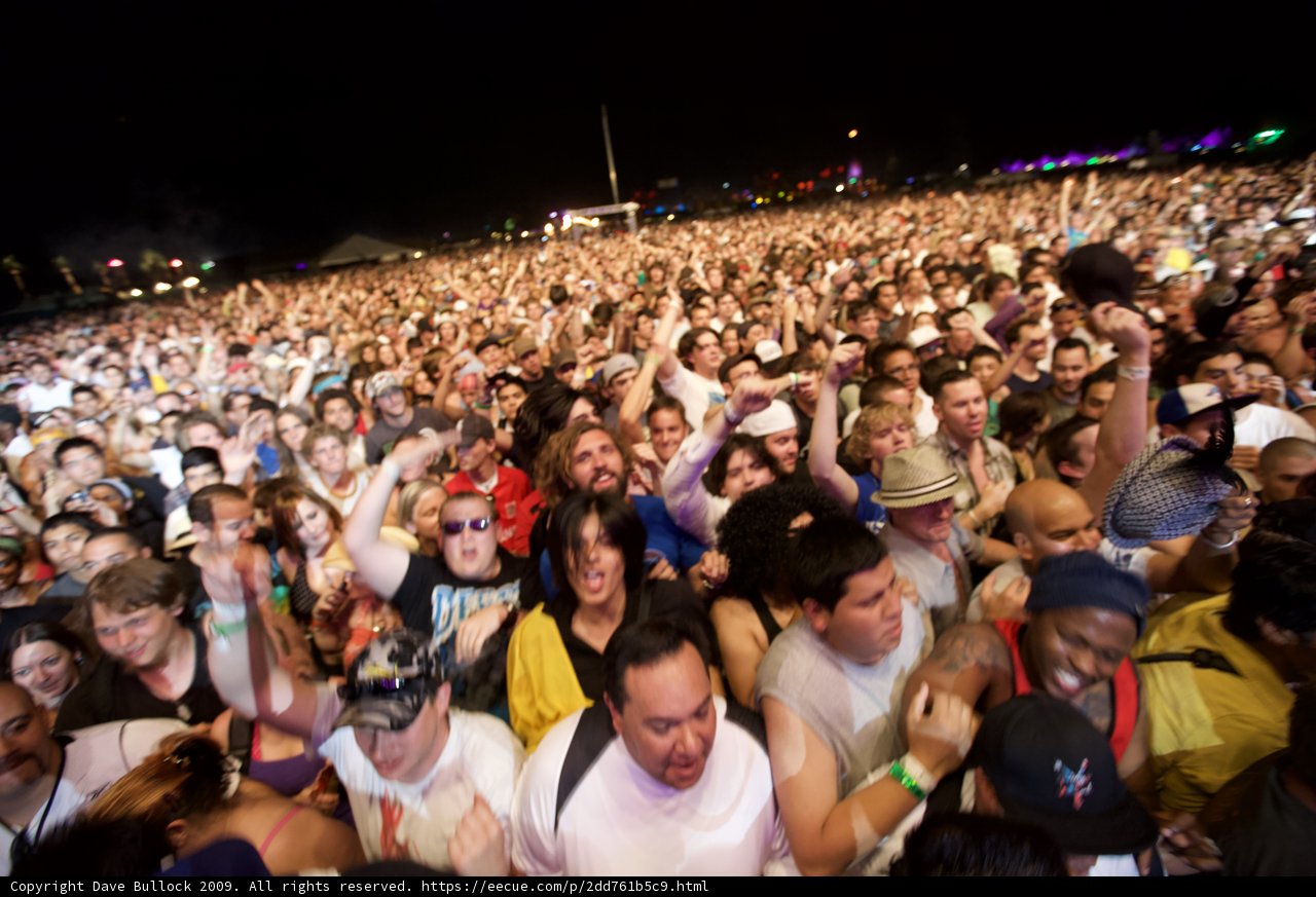 Music festival madness