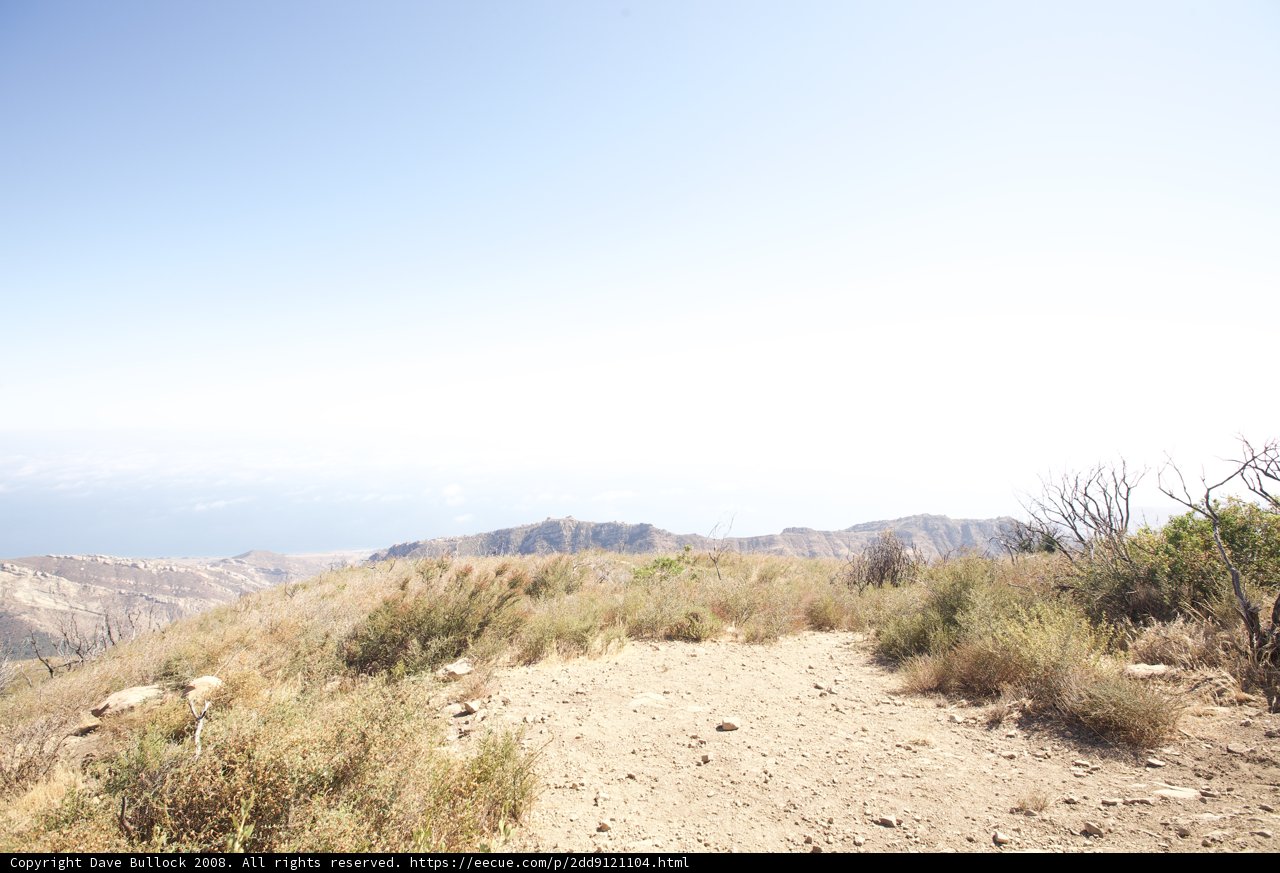 The Lonely Path