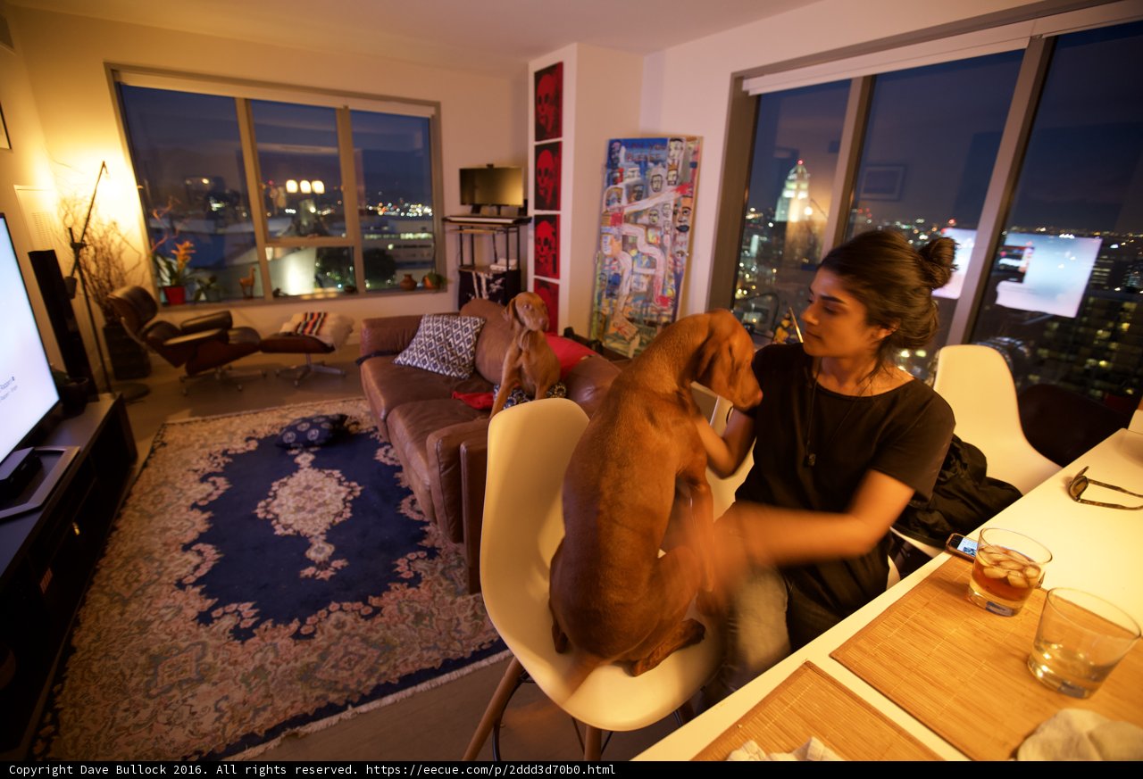 Relaxing at Home with My Furry Friend