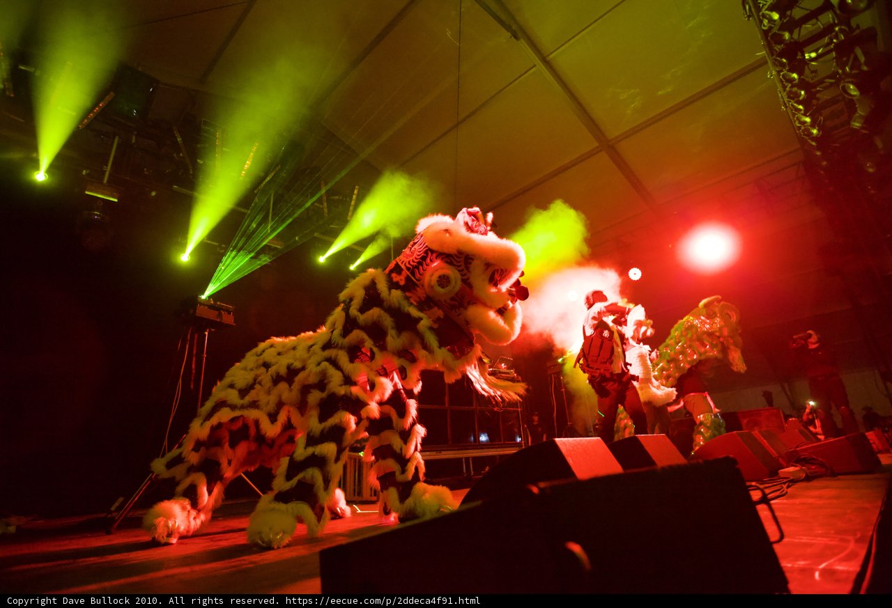 Lion Takes the Stage