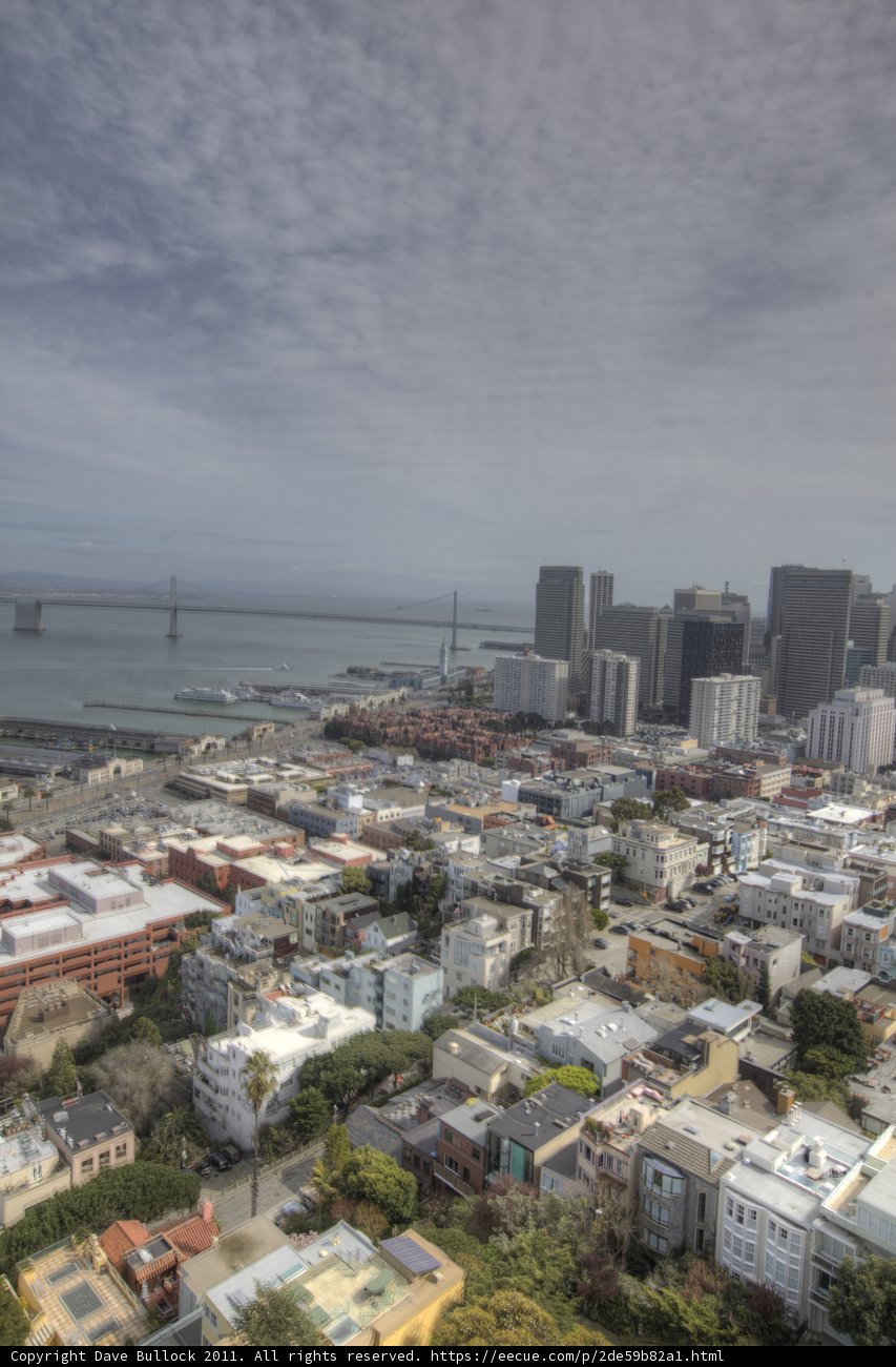 Skyscrapers and Water: A Bird's Eye View of the City