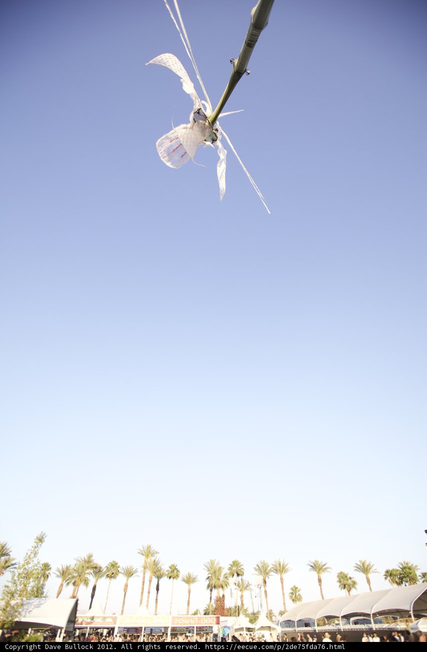 Kite Flying High in the Blue Skies