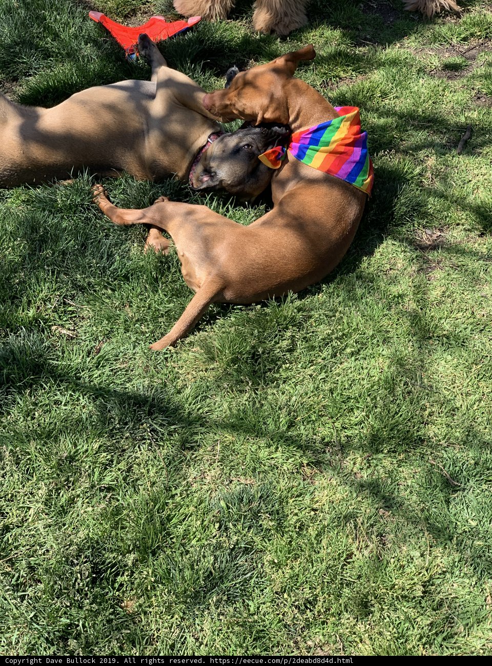 Lazy Day in the Park