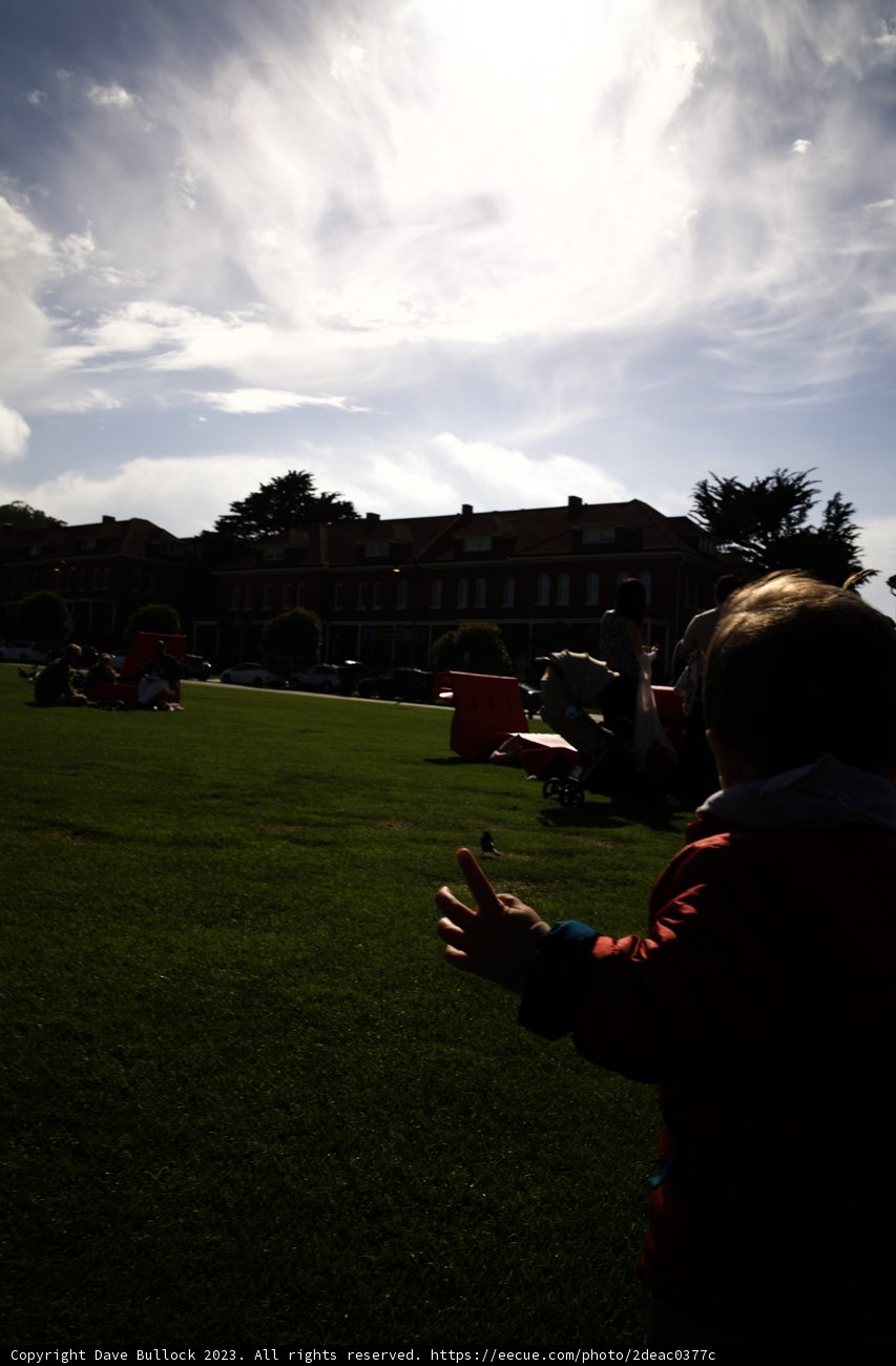 Kite-Flying Delight at Presidio Park