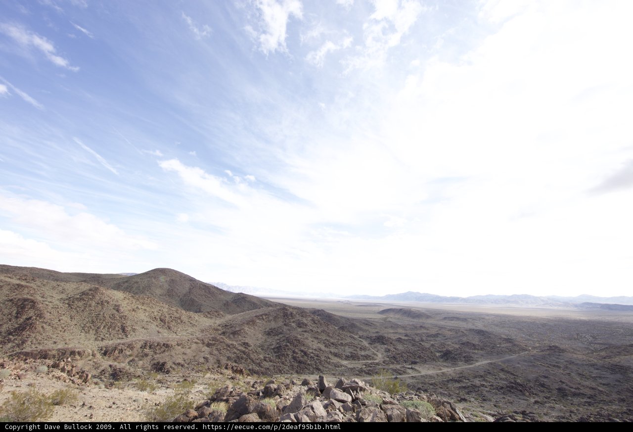 Desert Serenity