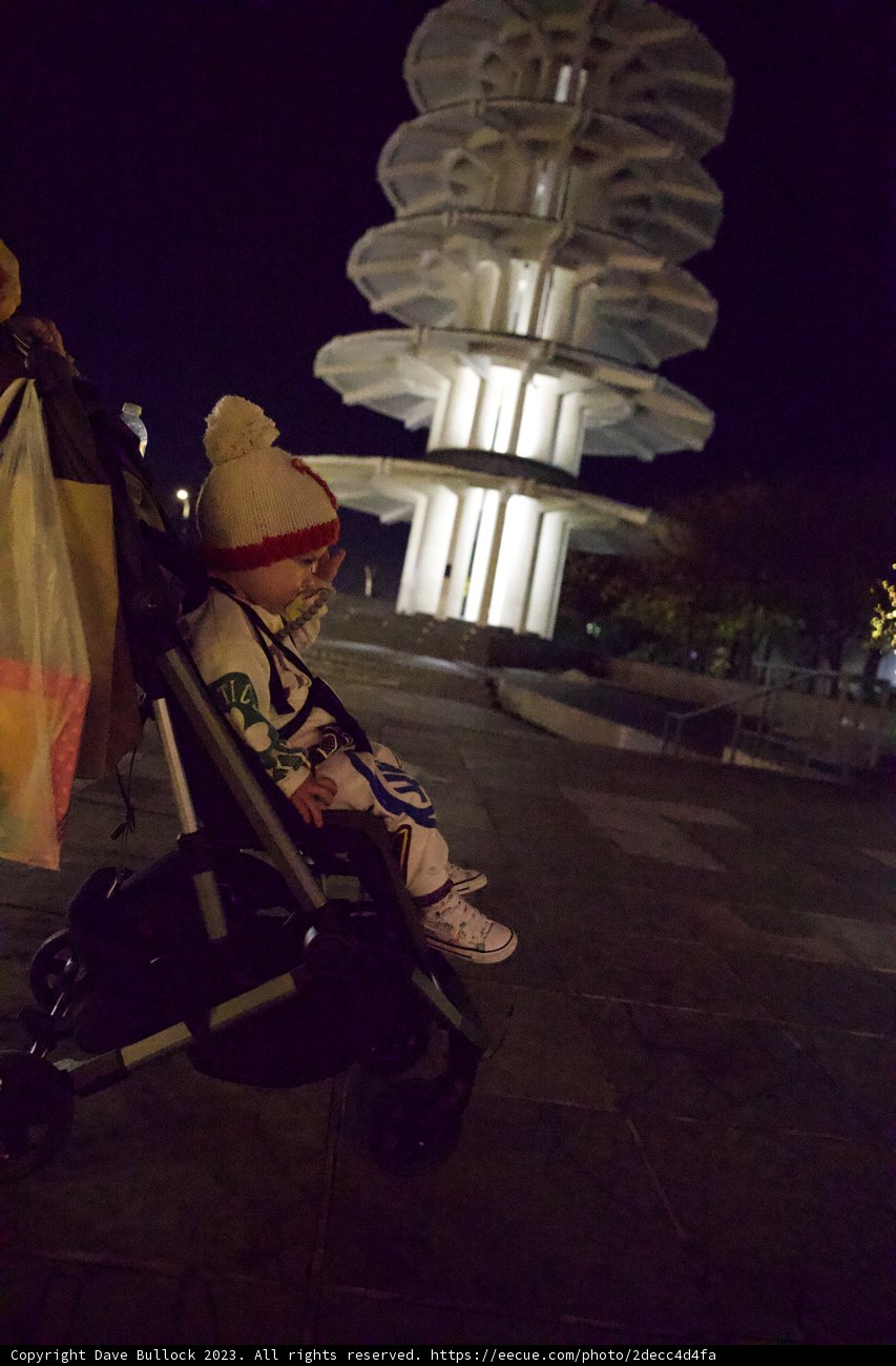 Serenity in the Heart of Japan Town