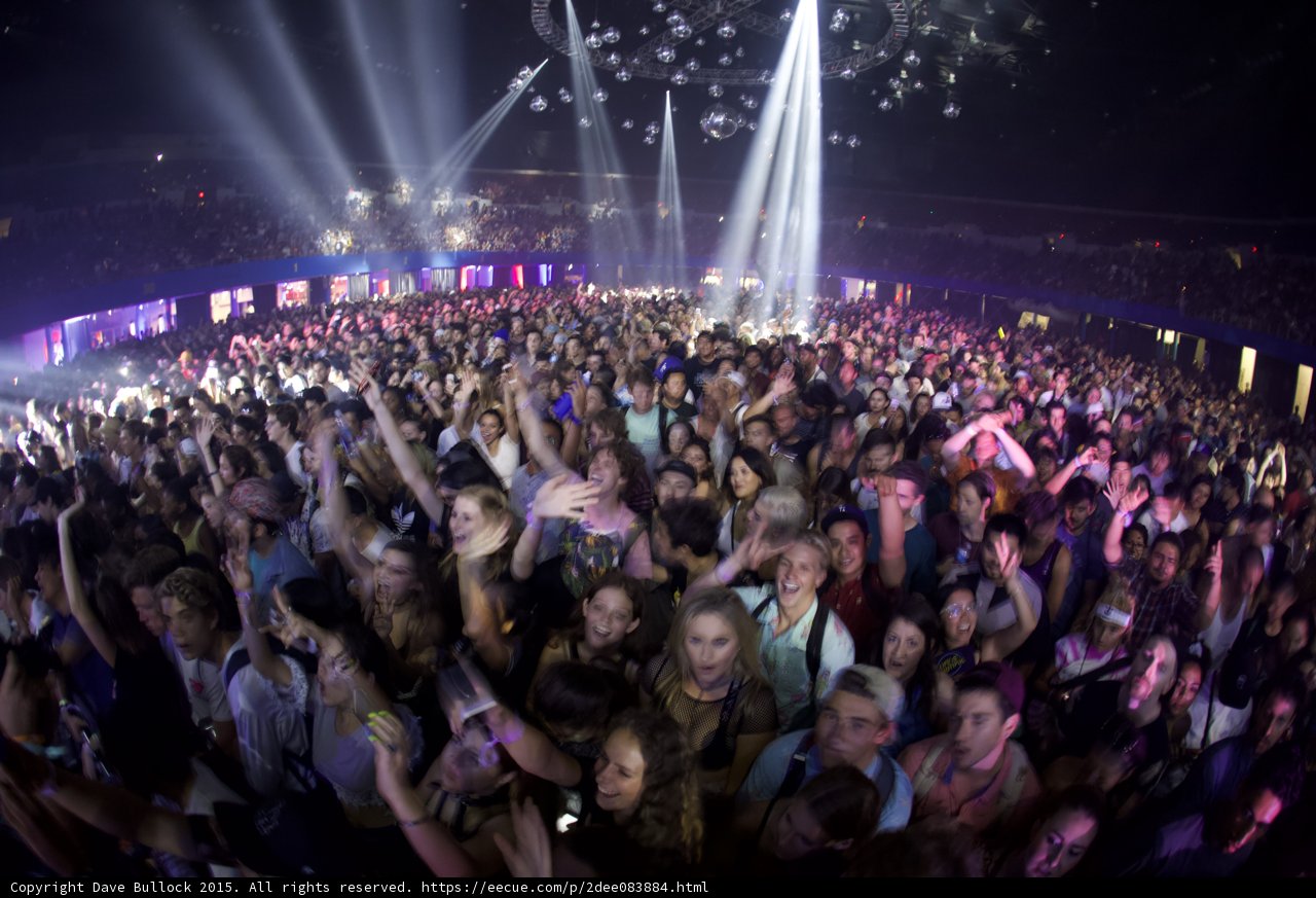 Ecstatic Arena Crowd