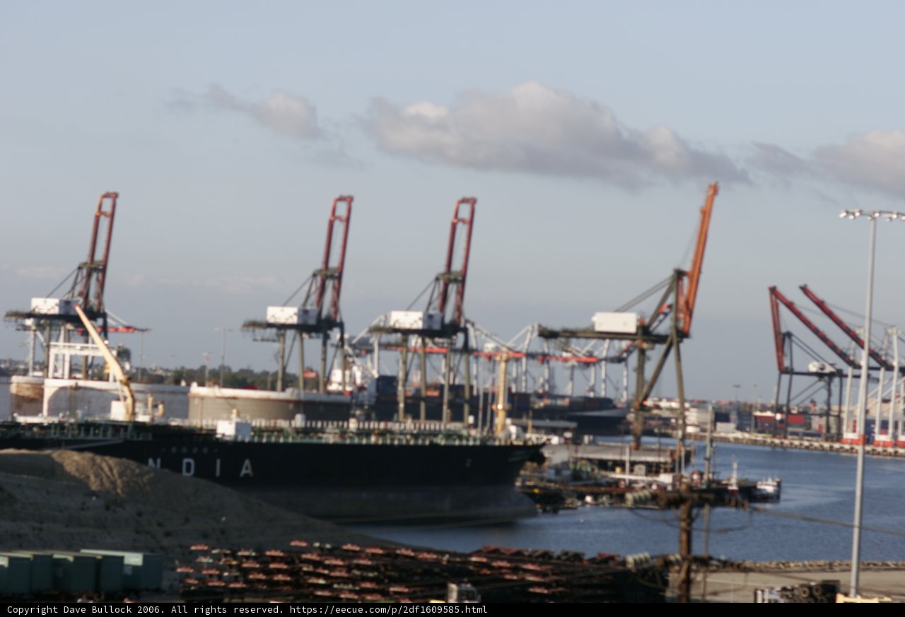 Bustling Waterfront Activity