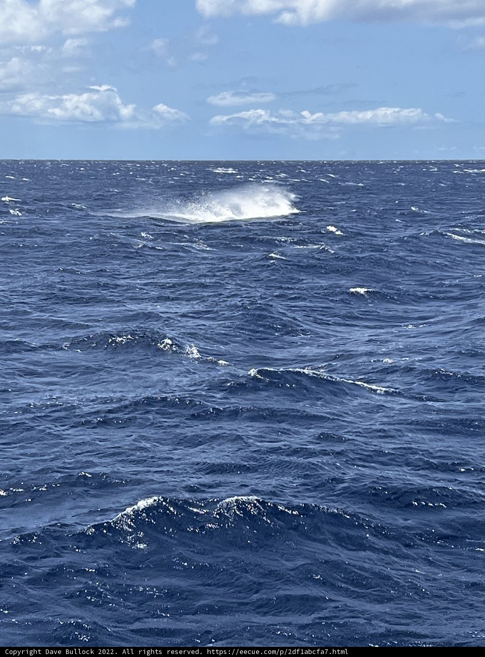 Majestic Wave and Distant Boat in Hawaiʻi