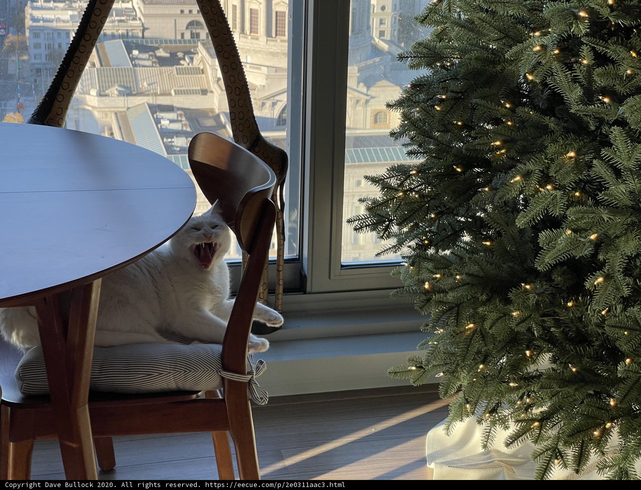 Holiday Companion