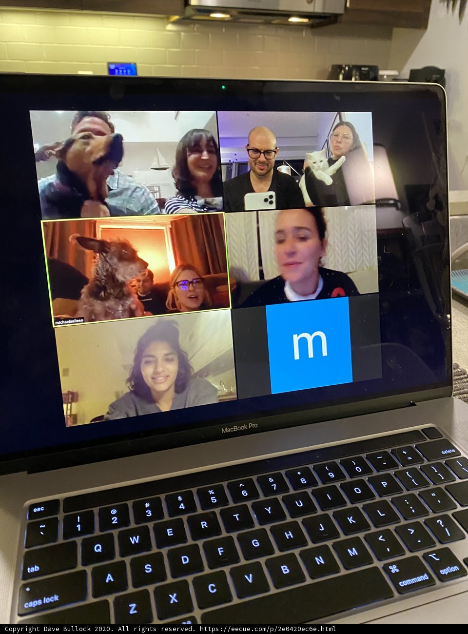 Virtual Meeting with Dave B and Lori S