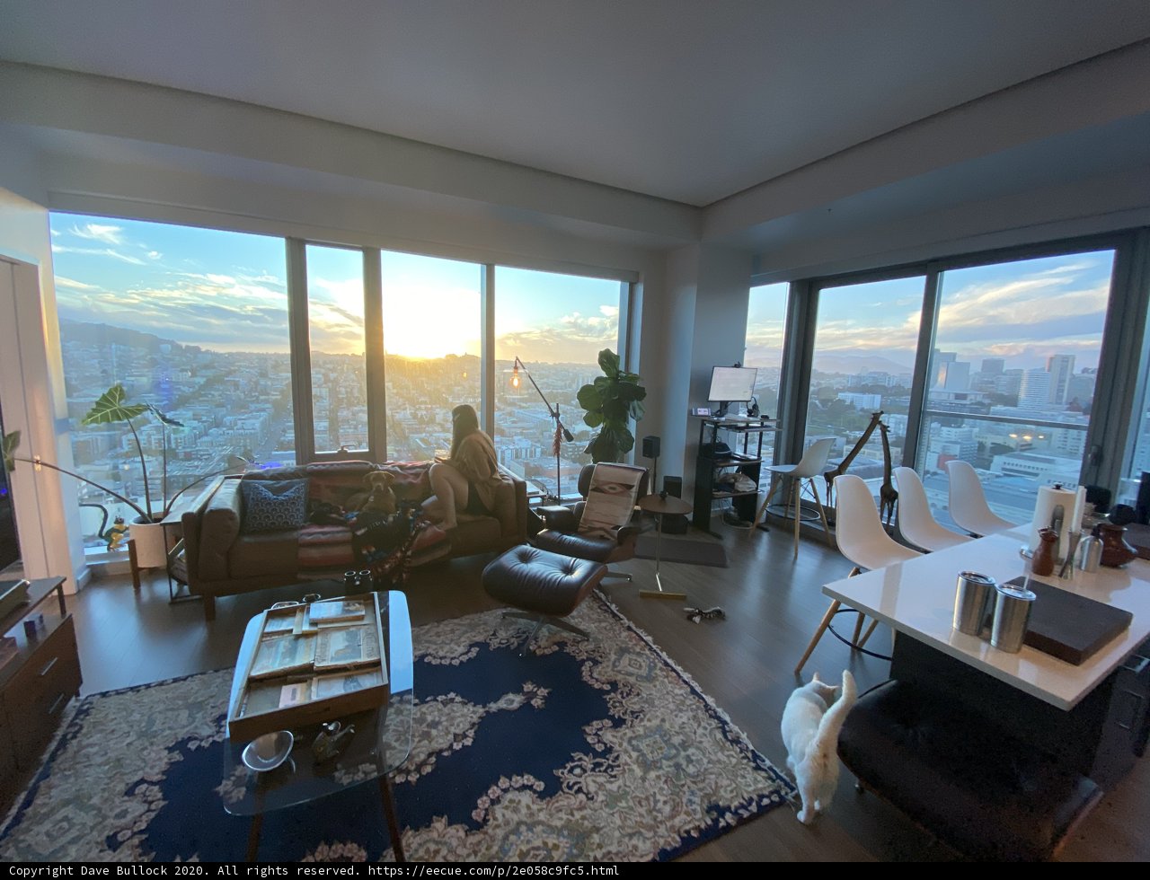 Penthouse Living Room with City View