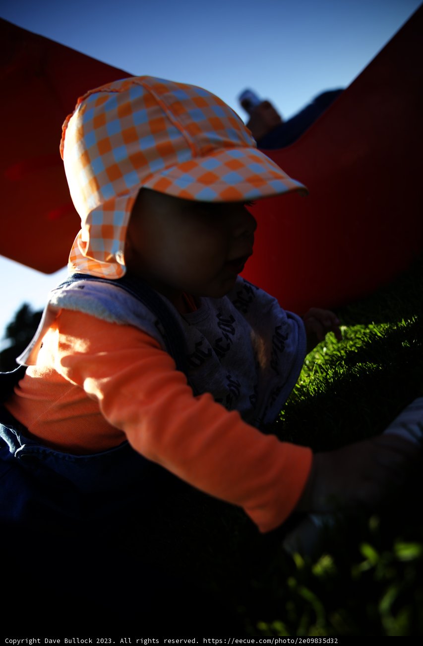 Baby's Day Out: Fun Under the Sun