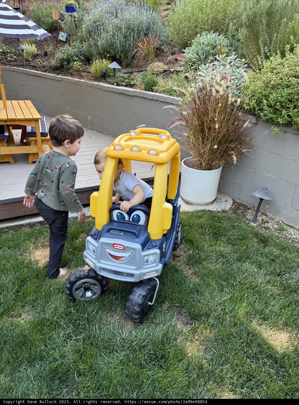 Backyard Adventures
