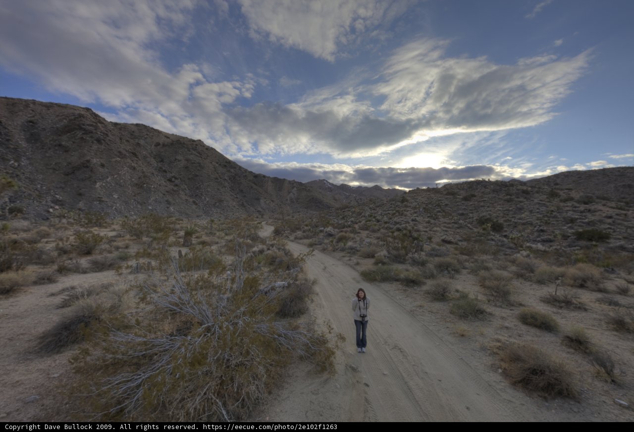 Finding Solitude