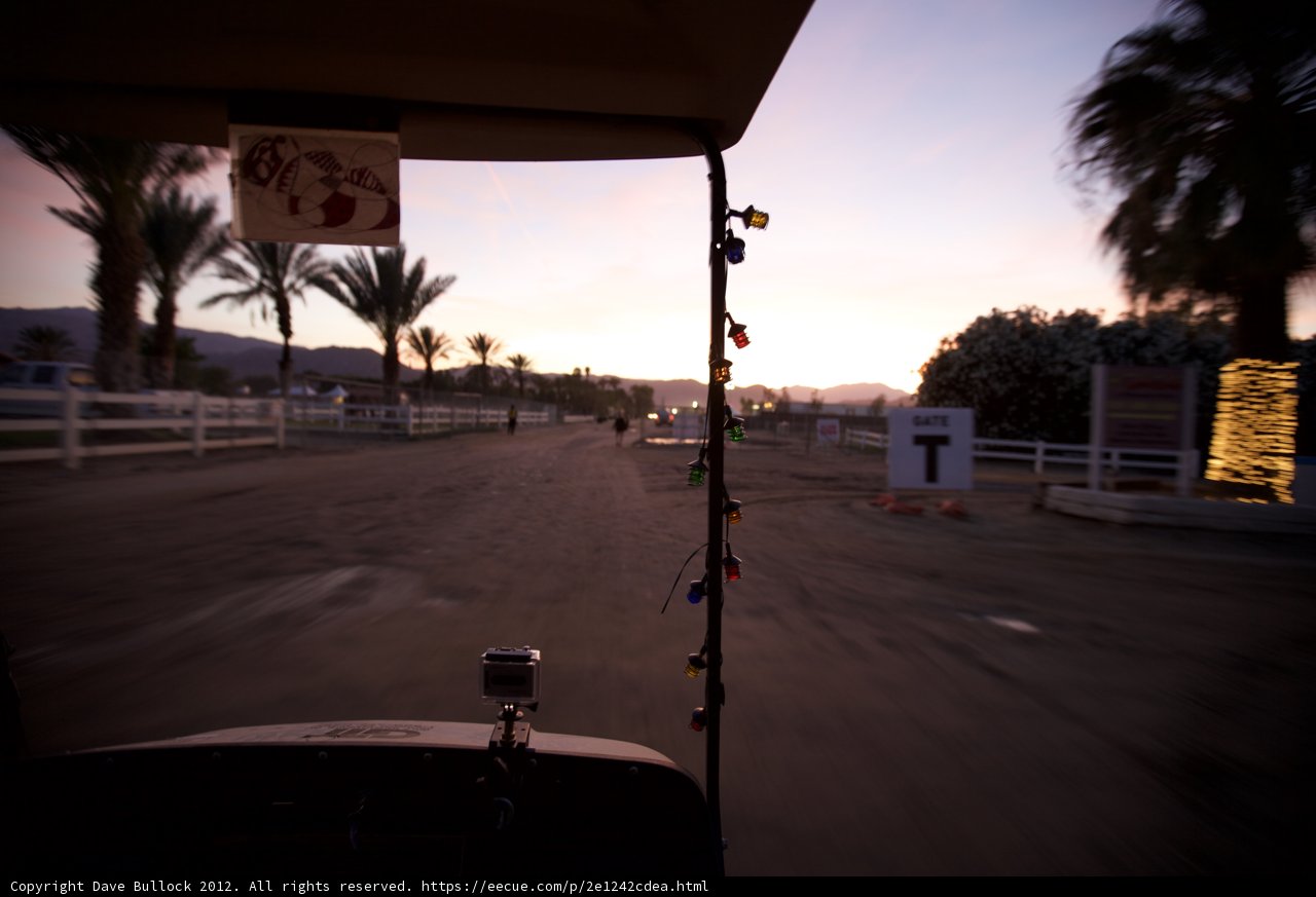 Palm Tree Road Adventure