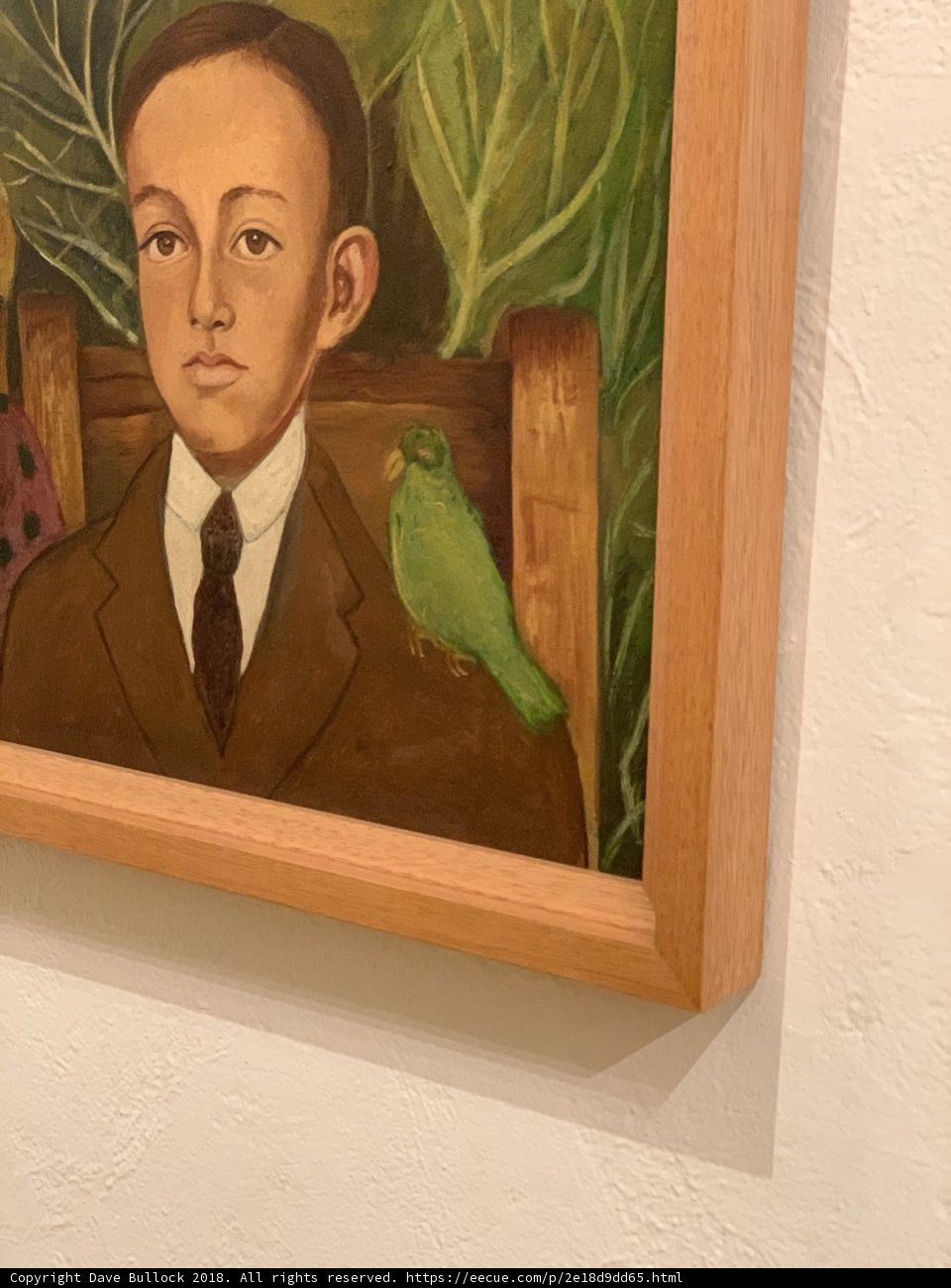 The Boy and His Feathered Friend
