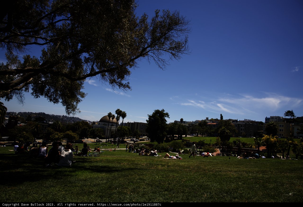Resilient Majesty at Delores Park