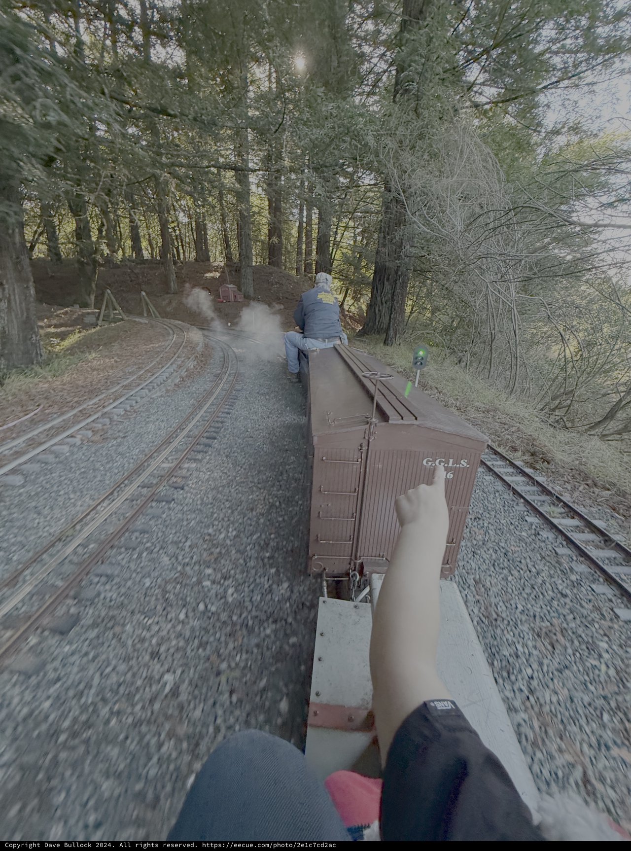 Vintage Steam Train Journey Through Forest