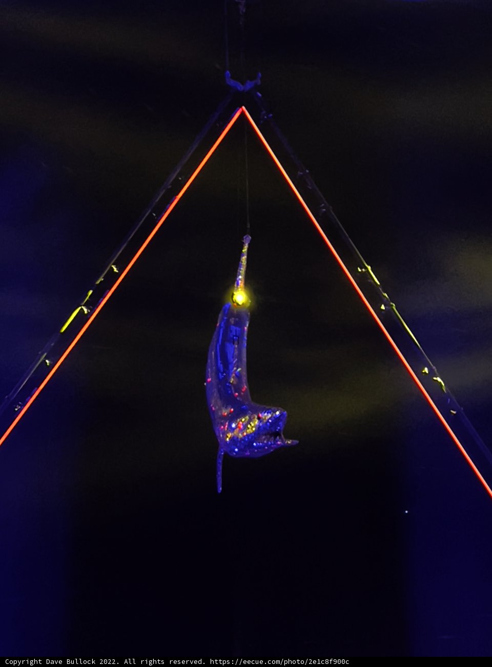 Mid-Air Acrobatics