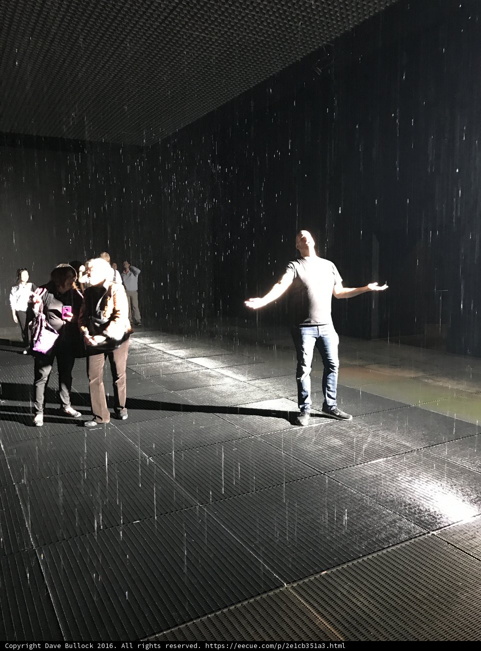 Dancing in the Rain