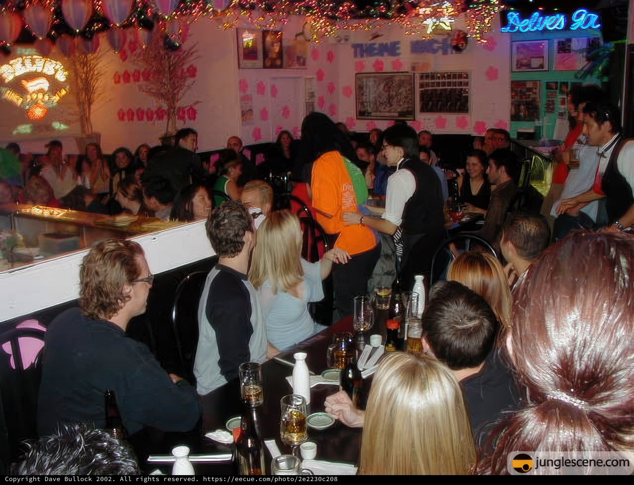 Nightclub Fun with a Crowd