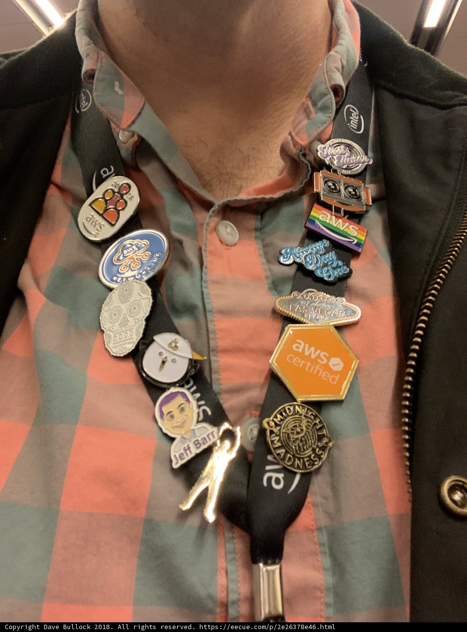 The Badge Collector