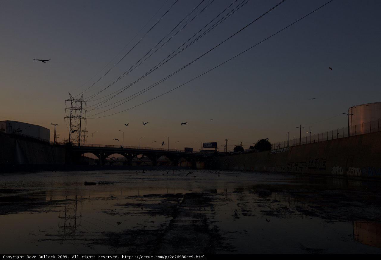 Birds and Power Lines at Sunset