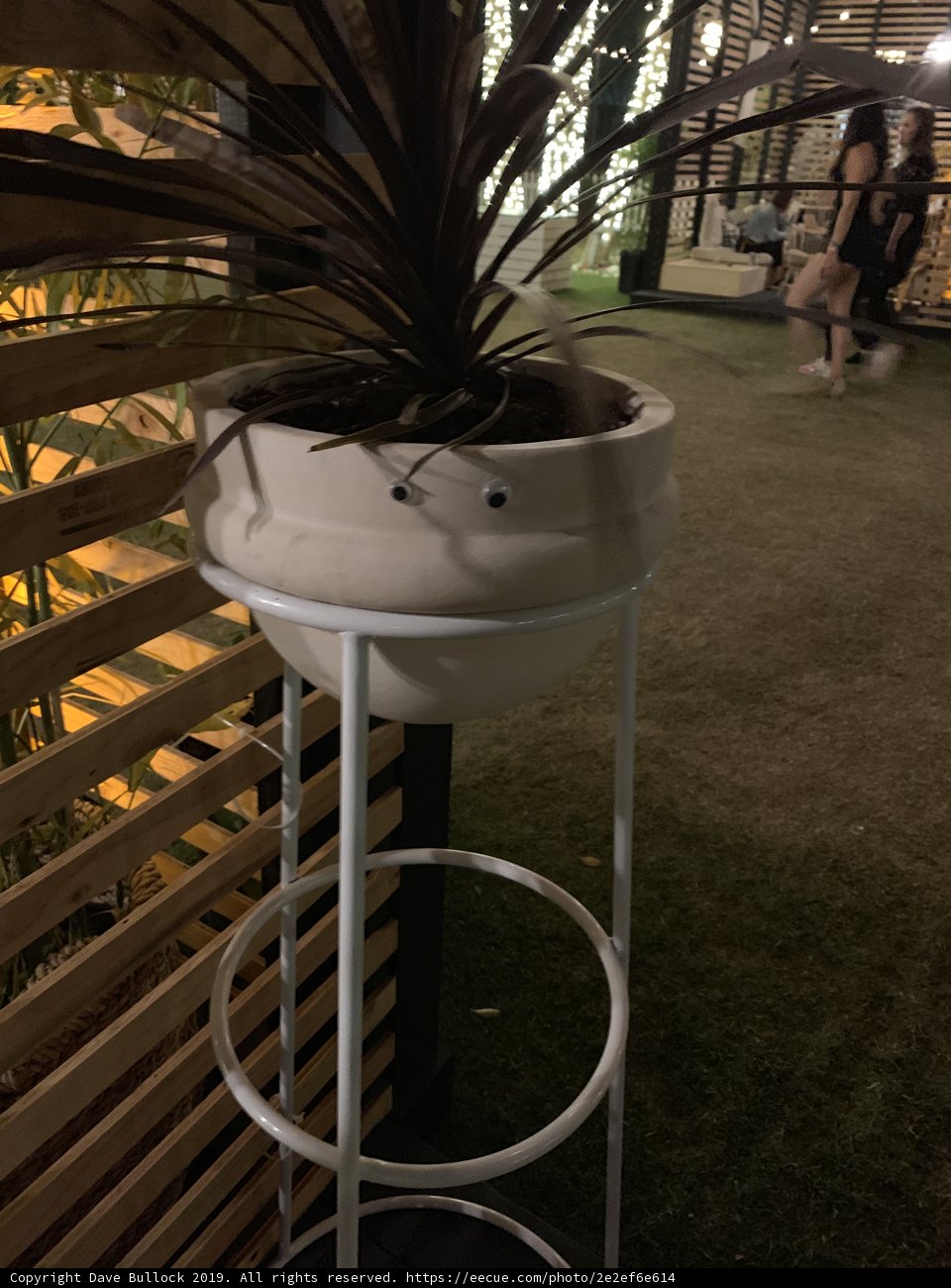Potted Plant on Stand
