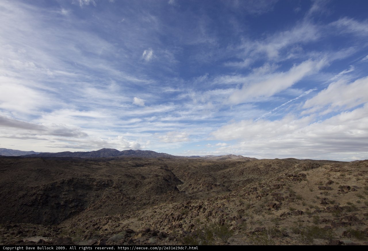 A Serene Oasis in the Vast Desert Wilderness