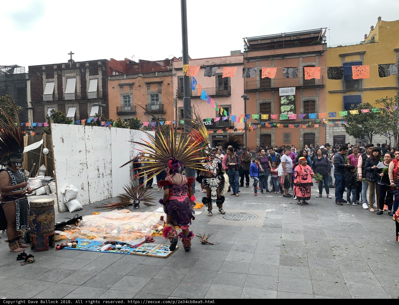 A Cultural Celebration in the City