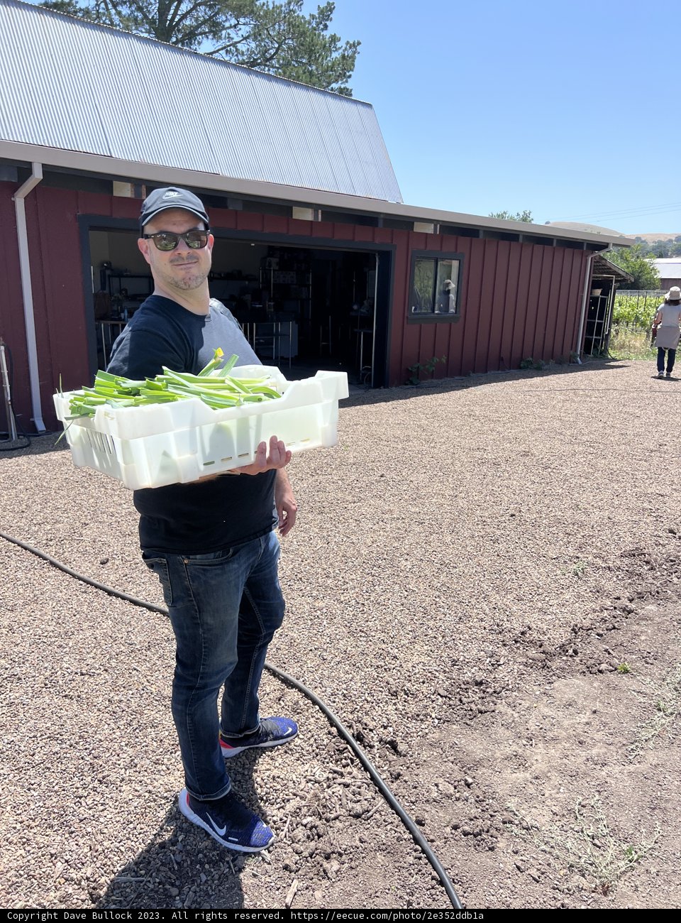 Embracing Nature's Bounty in Sonoma