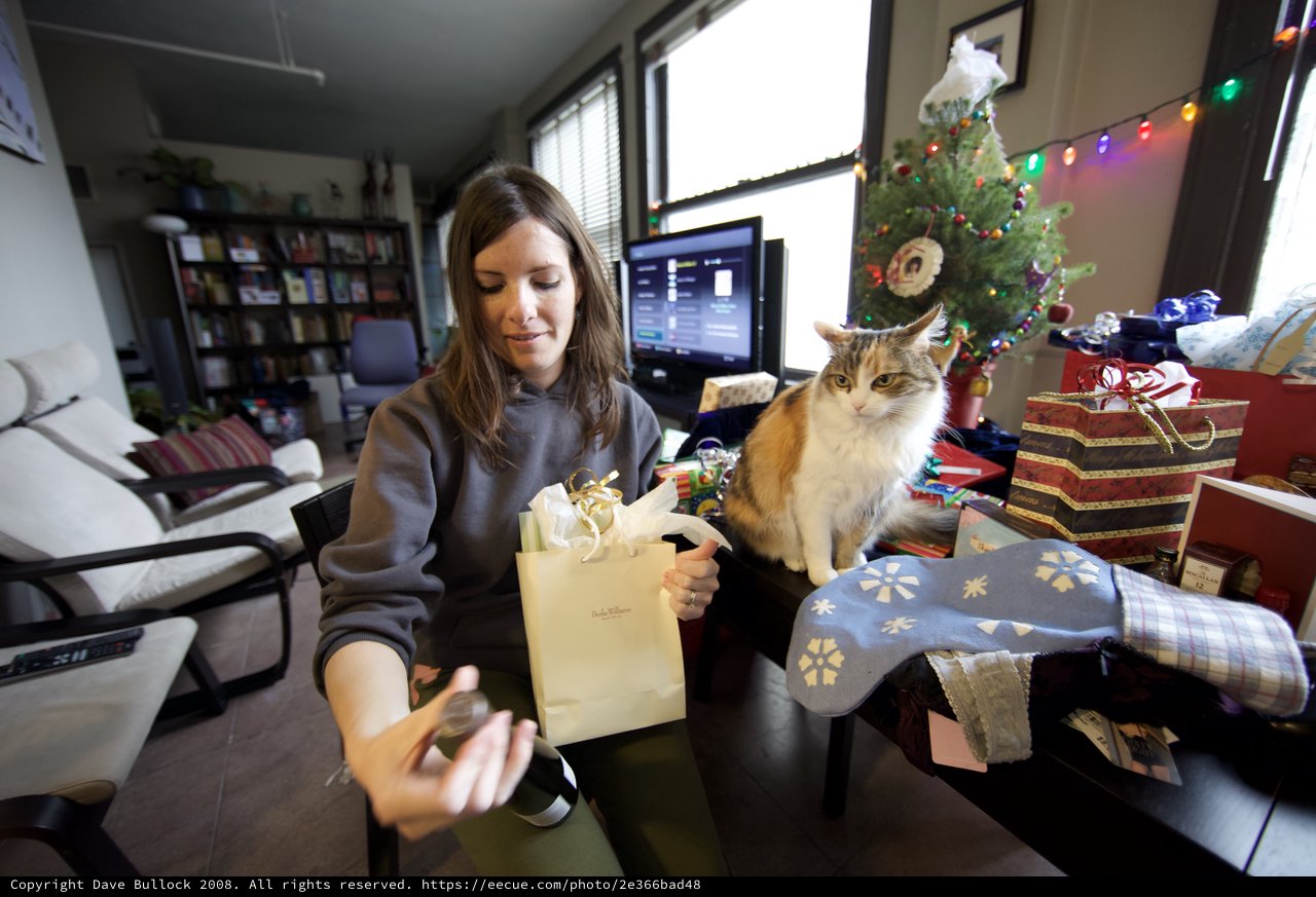 Cat Supervises Christmas Gift Unwrapping at Home