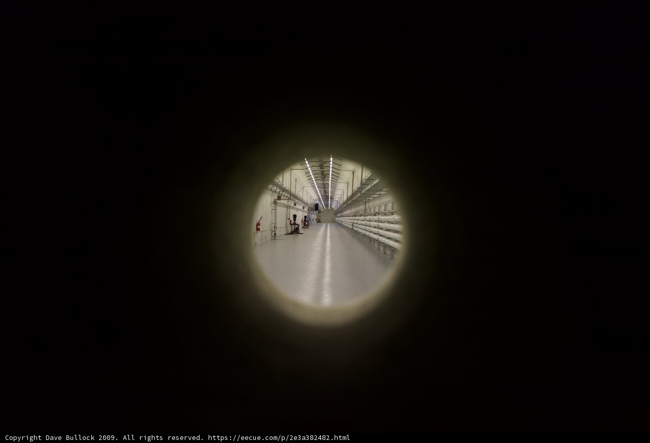 Through the Tunnel