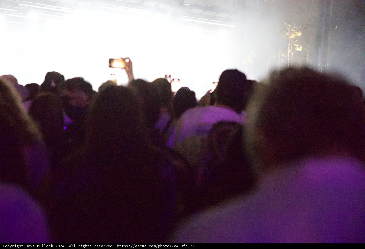 Immersion in Beats: Coachella 2024 Under the Lights