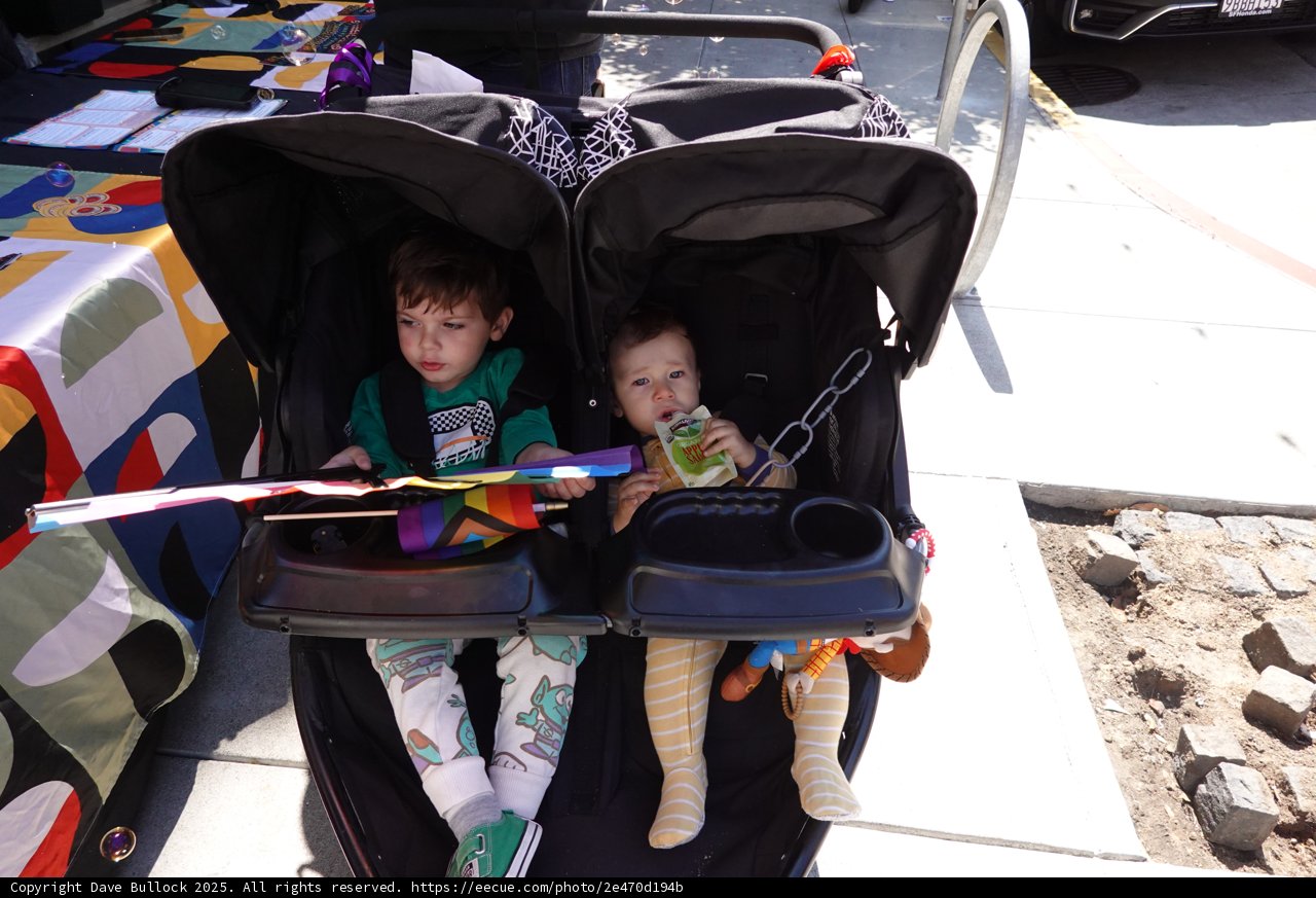 Adventures in the Stroller Lane