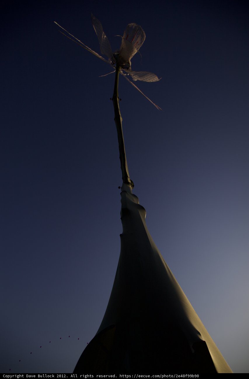 Flight of the Dragonfly