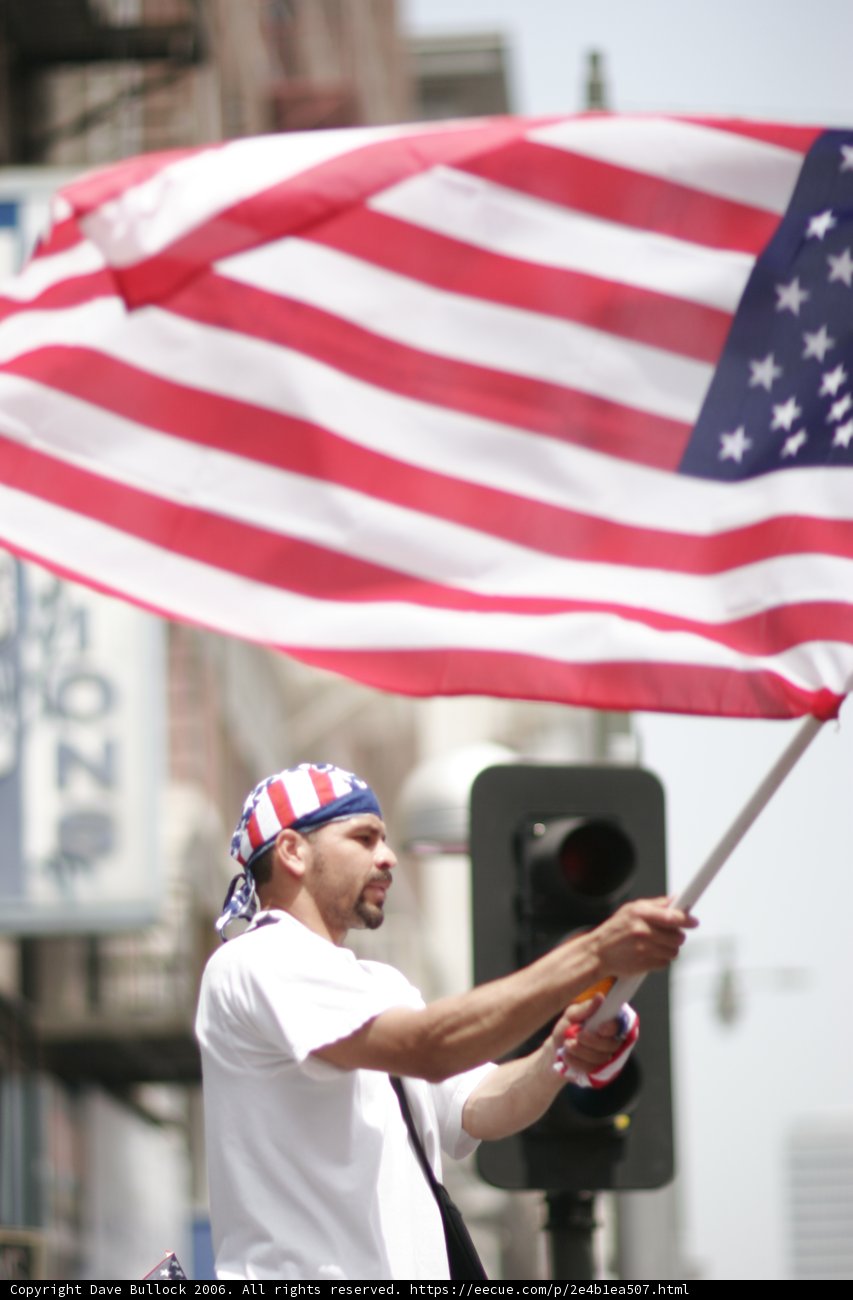 Patriotic Display